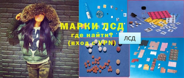 mdpv Бородино