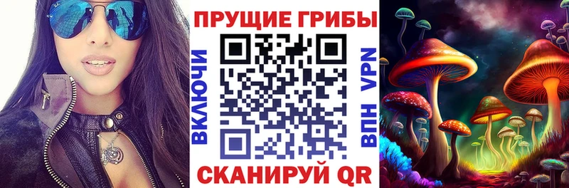 Галлюциногенные грибы Psilocybe  хочу   KRAKEN сайт  Весьегонск 